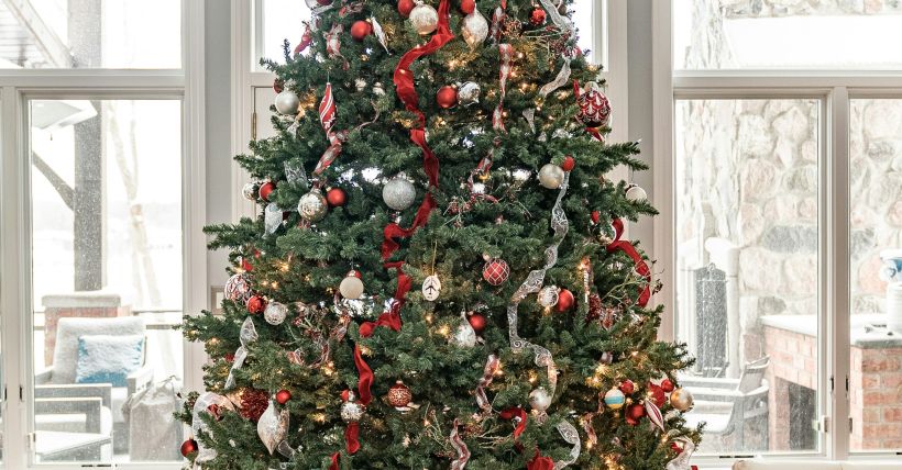 How to Keep Your Christmas Tree Alive Through the Holiday Season
