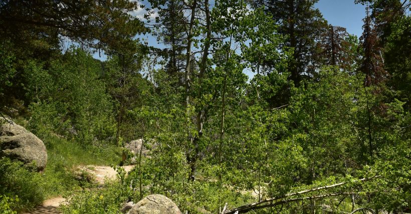 Stagecoach Trailhead Reopens with New Trail