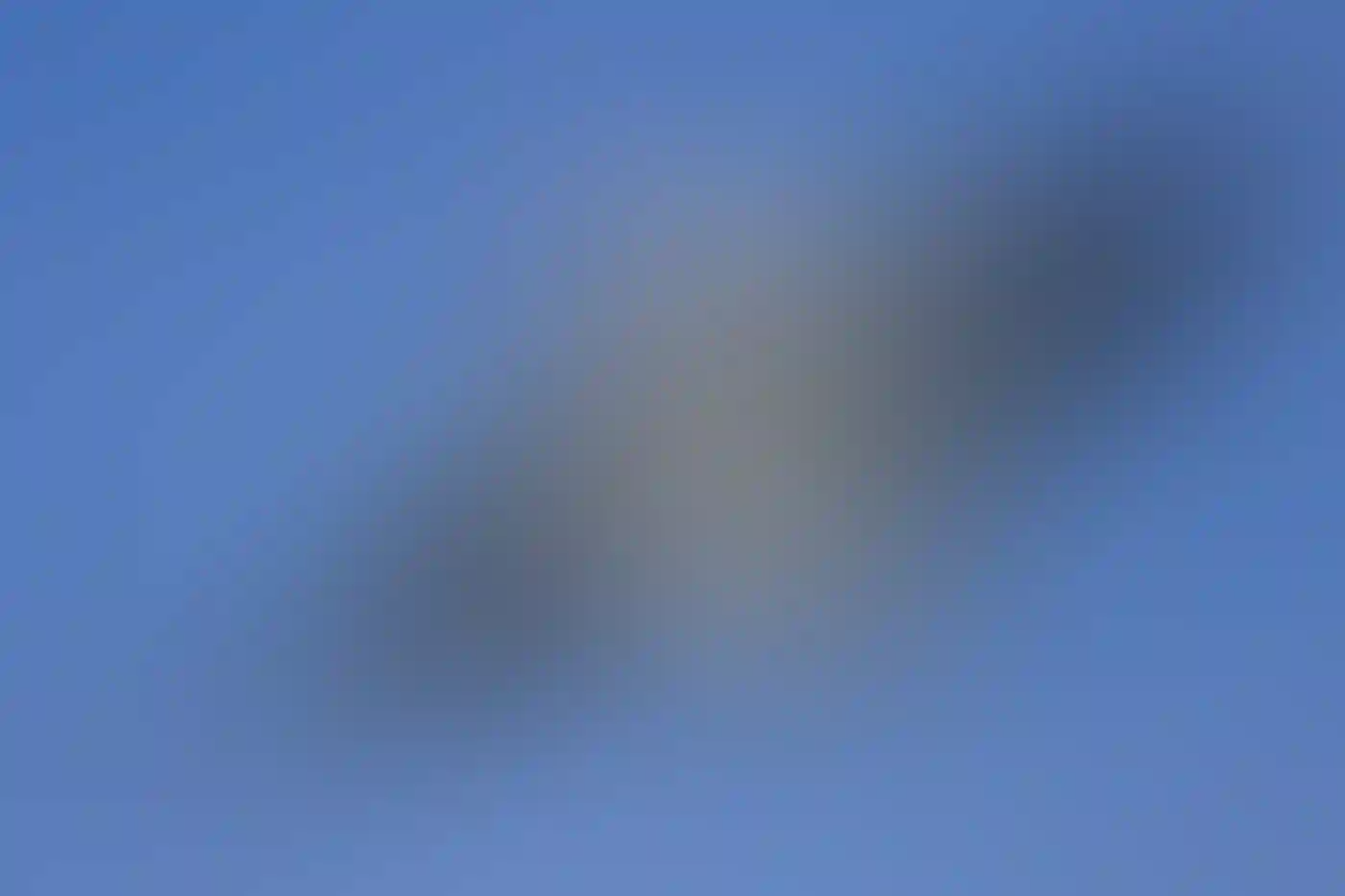 Two American White Pelicans in flight.