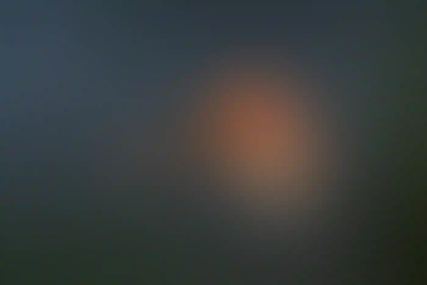 A male Rufous Hummingbird in flight.