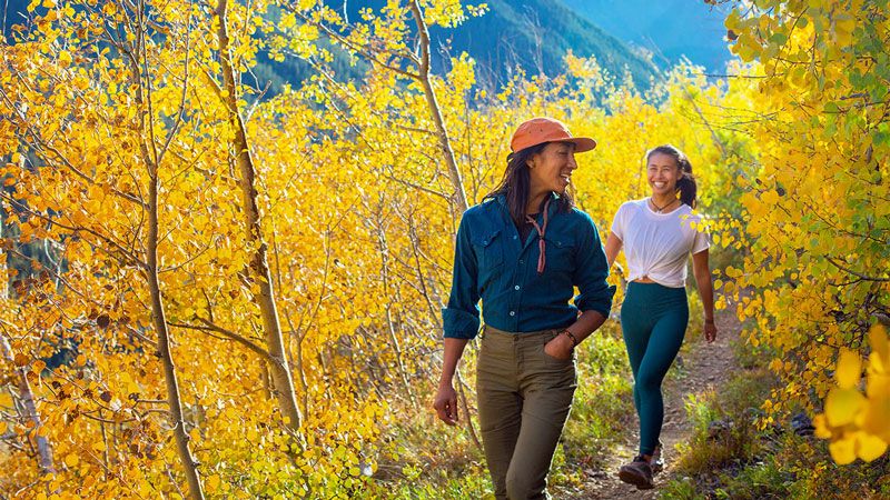 Fall Color Season in the Colorado Foothills: Planning Tips