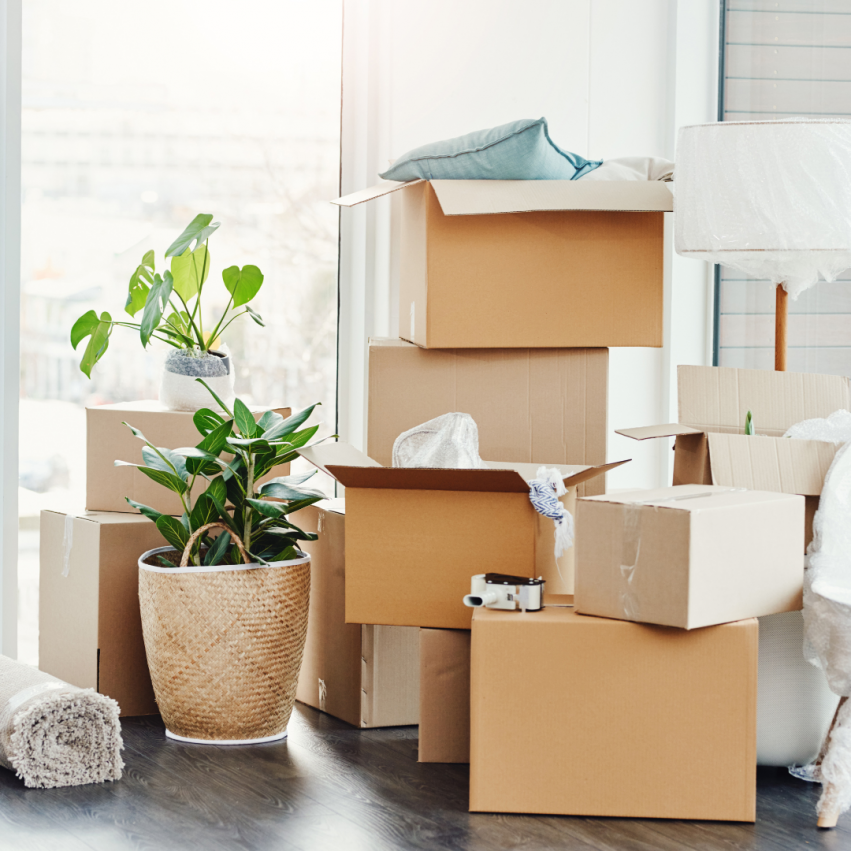 Everything You Need to Know About Moving Boxes Before You Move