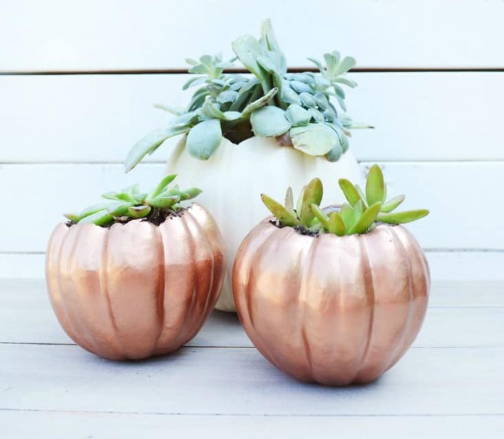 how to decorate your garden in the fall