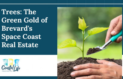 Trees: The Green Gold of Brevard's Space Coast Real Estate