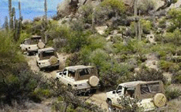 Wayward Wind Tours