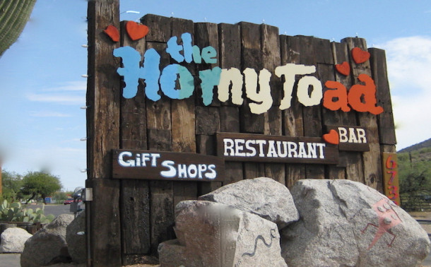 The Horny Toad