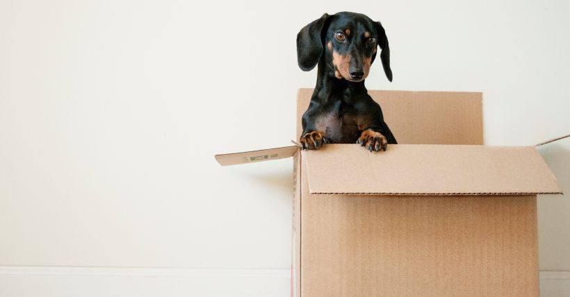Home buyer relocation
