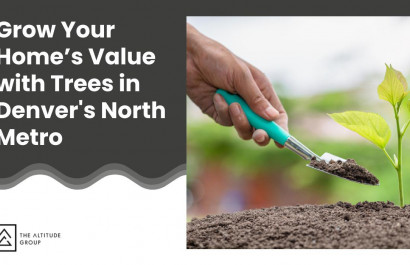 Grow Your Home’s Value with Trees in Denver's North Metro