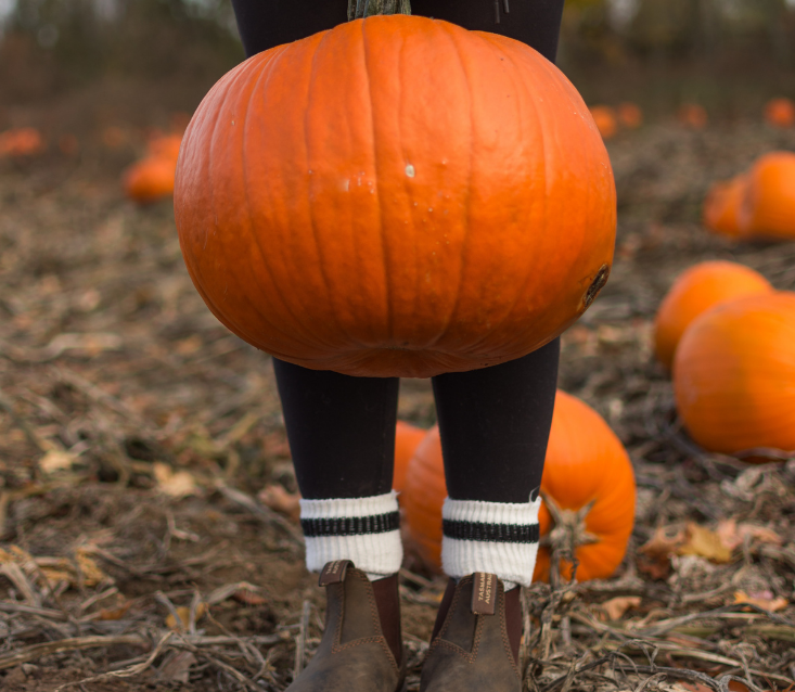 Fun Fall Activities Around Cincinnati