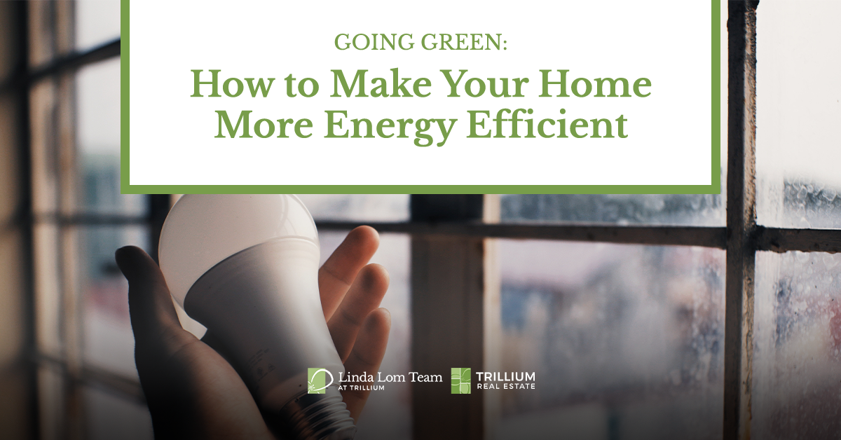 Going Green How To Create an EnergyEfficient Home