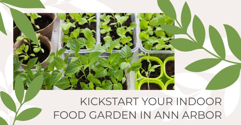 Kickstart Your Indoor Food Garden in Ann Arbor