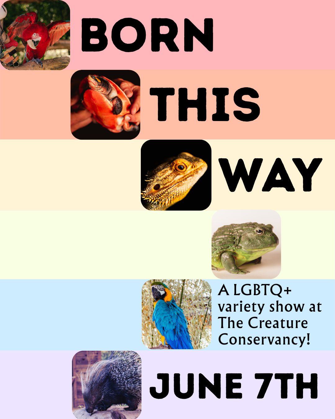 Born This Way