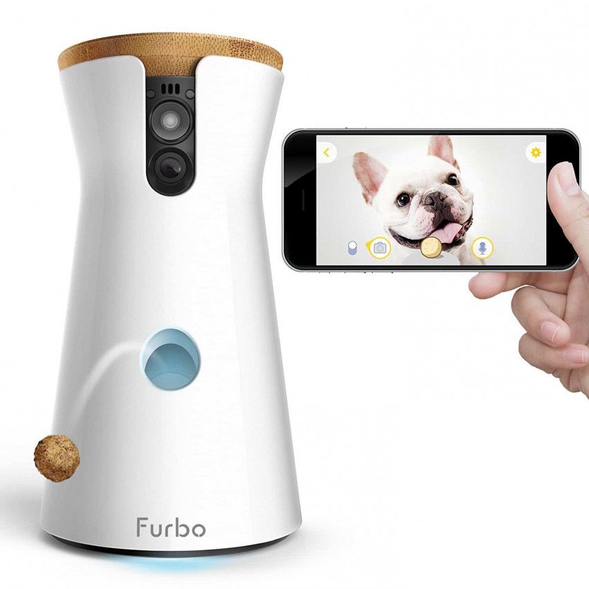 Furbo